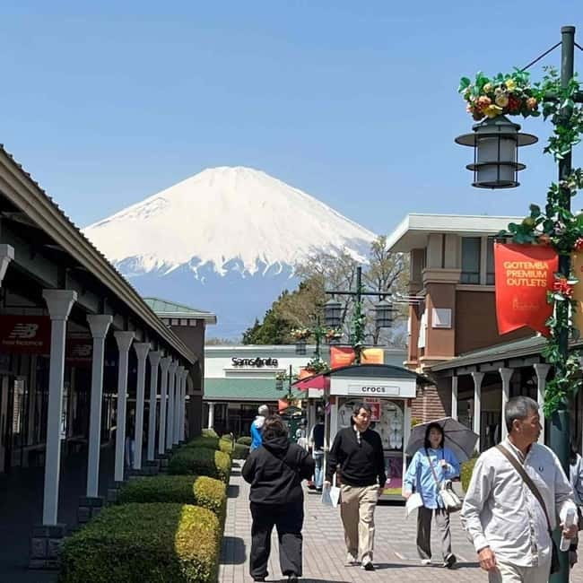 Tokyo: Mount Fuji Affordable Customizable Private 1-Day Tour - Other possible choices: ropeway, Saiko village, and more