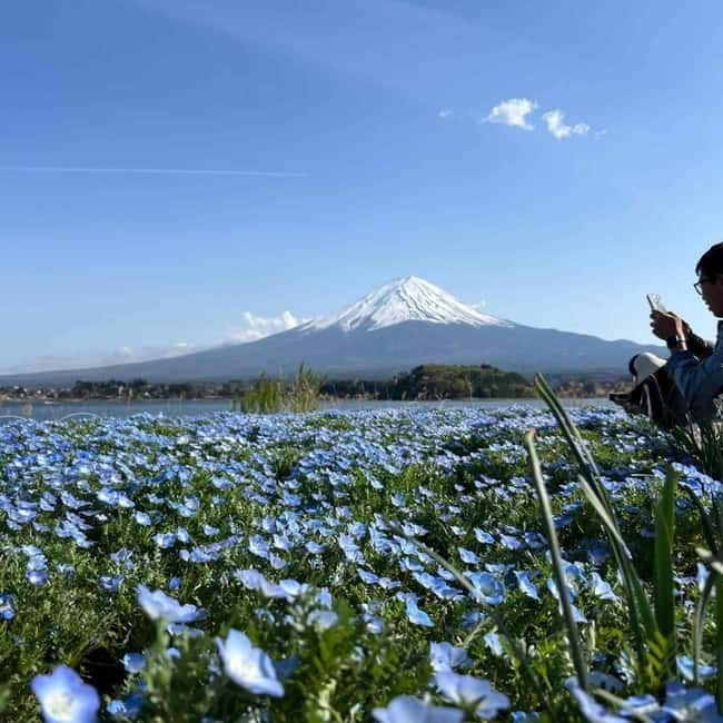 Tokyo: Mount Fuji Affordable Customizable Private 1-Day Tour - Starting the day in Tokyo