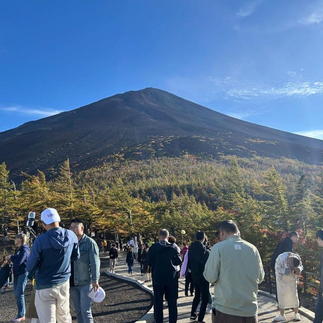Tokyo: Mount Fuji & Hakone Private Car Day Tour Lowest Price - Mt. Kachi Kachi Ropeway and paid activities