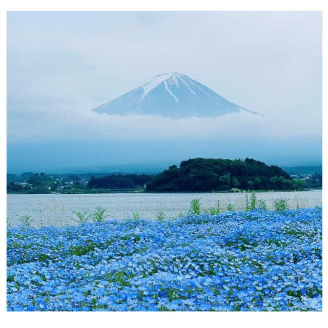Tokyo: Mount Fuji & Hakone Private Car Day Tour Lowest Price - Hakone’s Owakudani Valley and sulfur springs