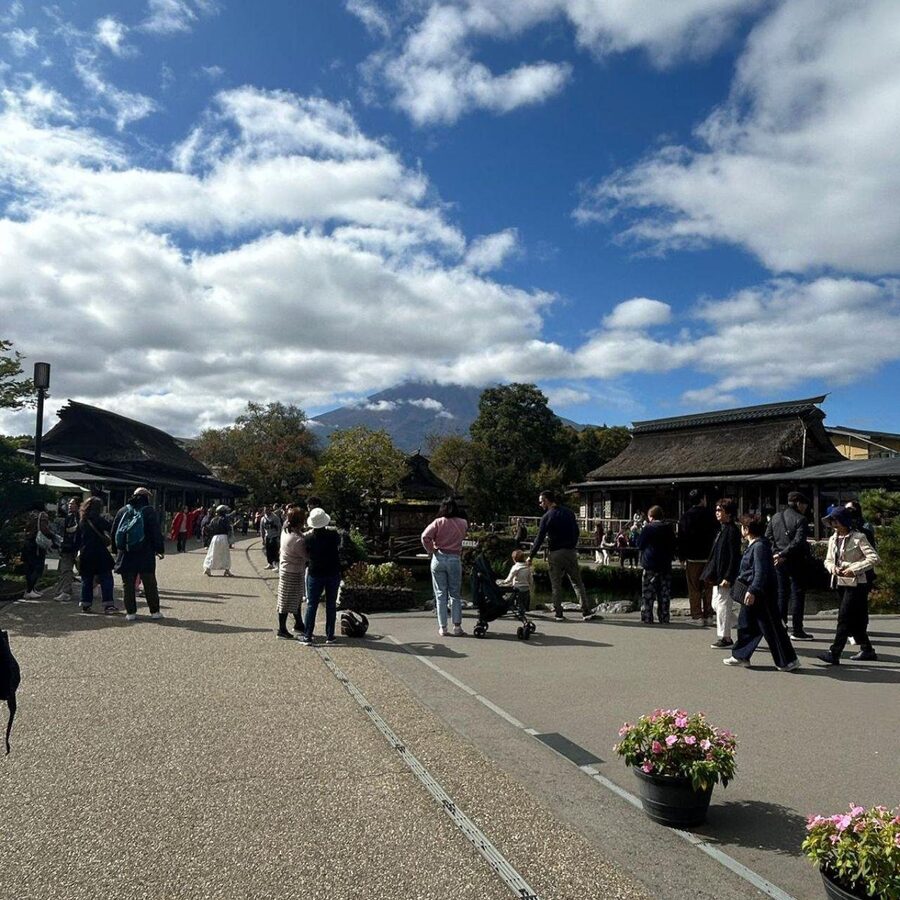 Tokyo: Mount Fuji & Hakone Private Car Day Tour Lowest Price - Food, tickets, and the real cost