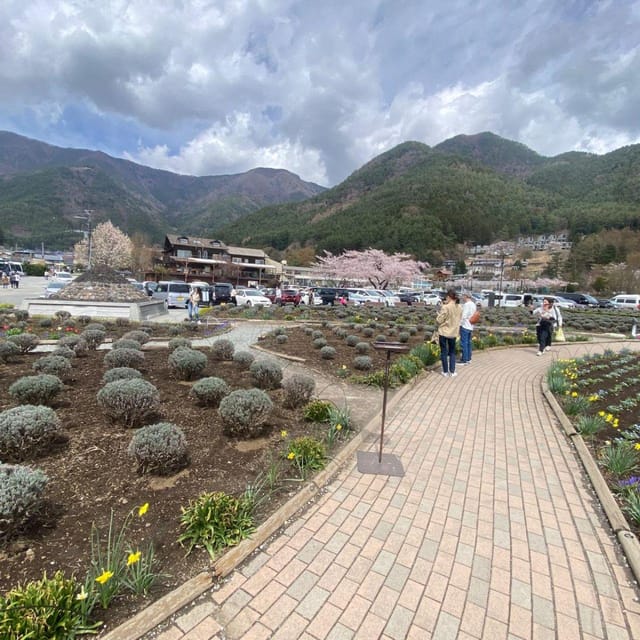 Tokyo: Mount Fuji & Hakone Private Car Day Tour Lowest Price - Chureito Pagoda and Arakurayama Sengen Park