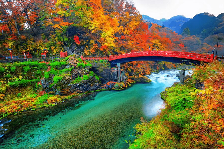 Tokyo: Nikko Private Sightseeing Day Trip with Driver - Why Nikko makes a good escape from Tokyo