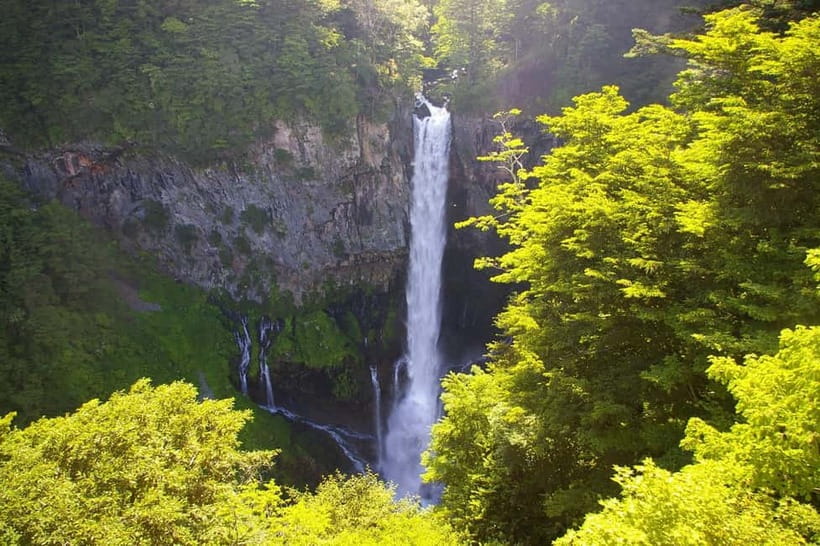 Tokyo: Nikko Private Sightseeing Day Trip with Driver - What the guides add to the experience