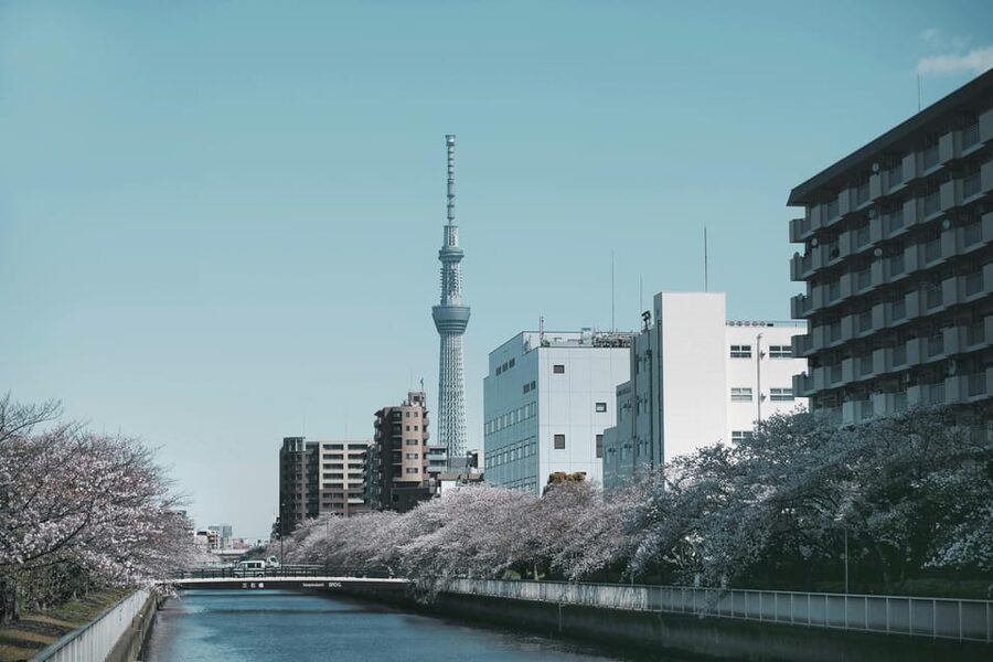 Tokyo: Private Customizable City Tour with Chauffeur - Key points to know before booking