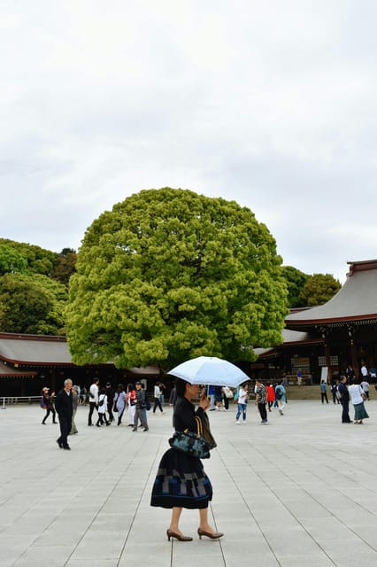 Tokyo: Private Customizable City Tour with Chauffeur - Imperial Palace: a short look at central Tokyo