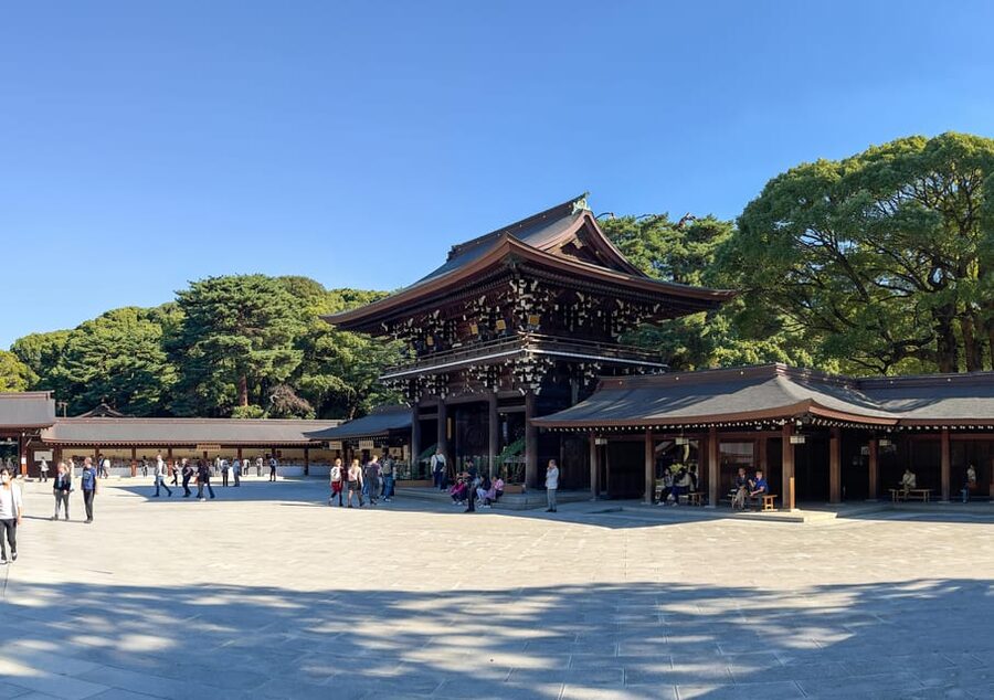 Tokyo: Private Customizable City Tour with Chauffeur - Takeshita Street and Meiji Shrine: two sides of Harajuku