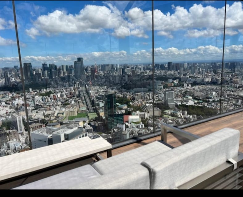 Tokyo: Private Customizable Day Tour with Chauffeur - Languages, comfort, and the pace of the day