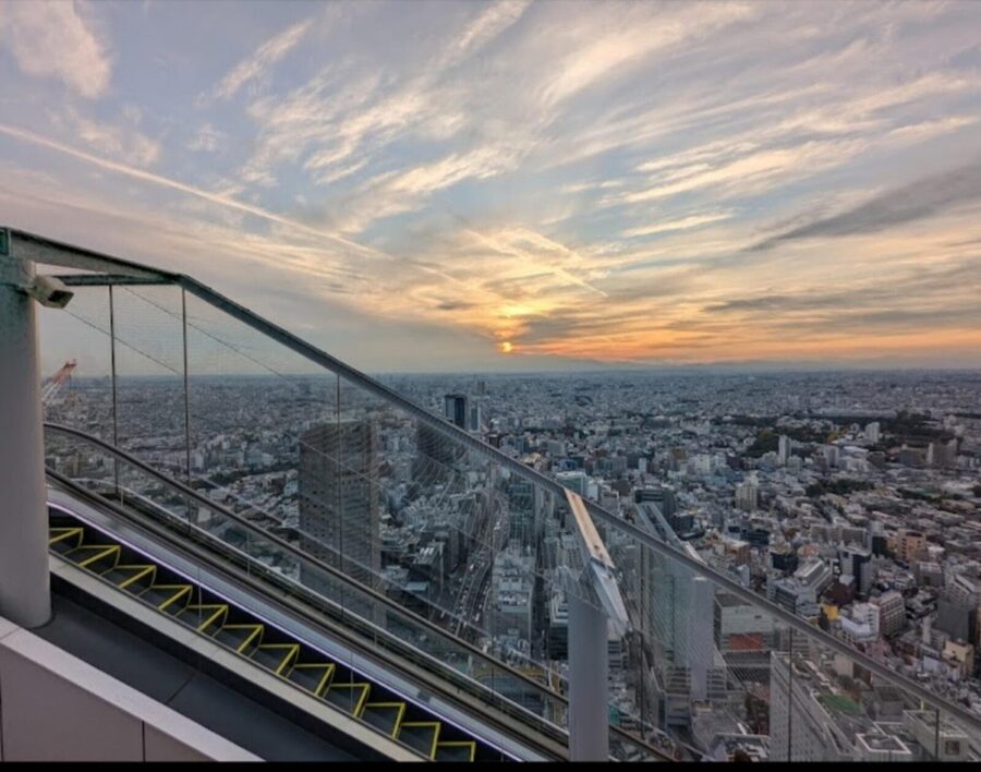 Tokyo: Private Customizable Day Tour with Chauffeur - Finding quiet at Meiji Shrine