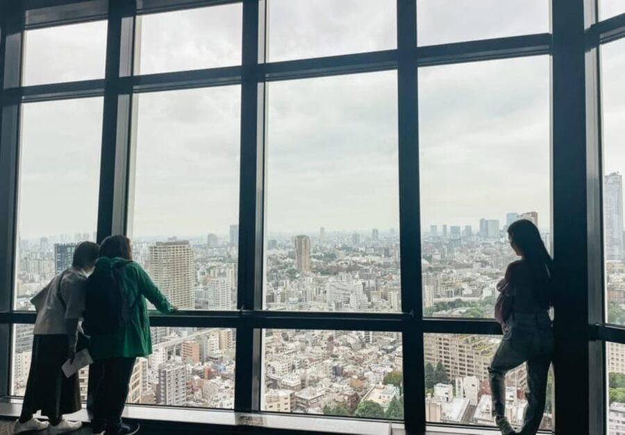 Tokyo: Private Customizable Day Tour with Chauffeur - What the private car changes