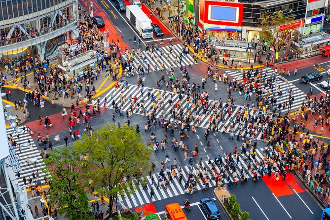 Tokyo Private Customizable Tour with English Speaking Chauffeur - What this private Tokyo tour really offers