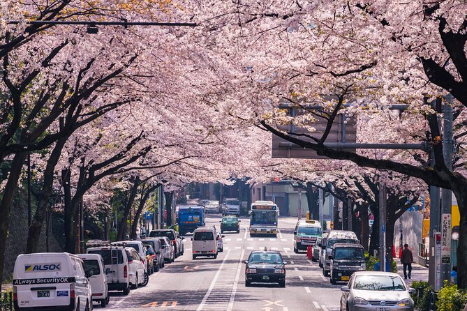 Tokyo Private Customizable Tour with English Speaking Chauffeur - Tokyo Tower and the Imperial Palace: two symbols of modern Japan