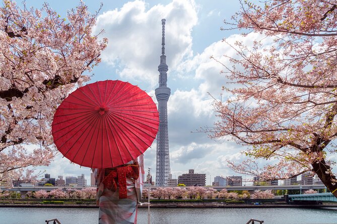 Tokyo Private Customizable Tour with English Speaking Chauffeur - Tokyo Skytree: big views, extra ticket costs