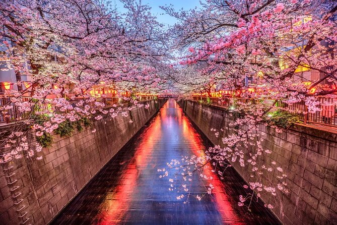 Tokyo Private Driving Tour by Car/Van with English Chauffeur - The Imperial Palace and the importance of timing