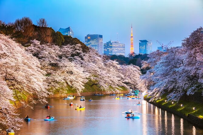 Tokyo Private Driving Tour by Car/Van with English Chauffeur - Ginza, Takeshita Street, and Omotesando