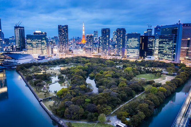 Tokyo Private Driving Tour by Car/Van with English Chauffeur - Shibuya Crossing and Odaiba