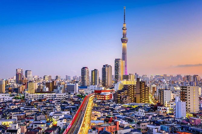 Tokyo Private Full-Day Tour by Car or Van - What this Tokyo car tour really offers