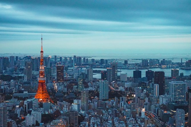 Tokyo Private Full-Day Tour by Car or Van - Shibuya Crossing: a short stop with a big payoff