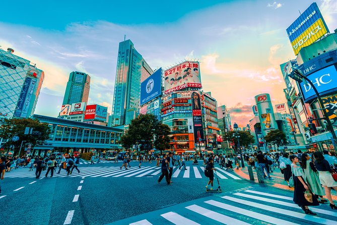 Tokyo Private Full-Day Tour by Car or Van - Odaiba: the optional final stop