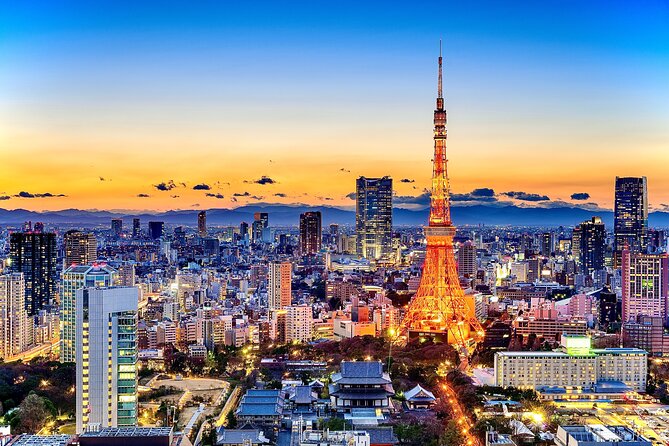 Tokyo Private Sightseeing Tour by Car- English speaking chauffeur - Why a private car makes sense in Tokyo