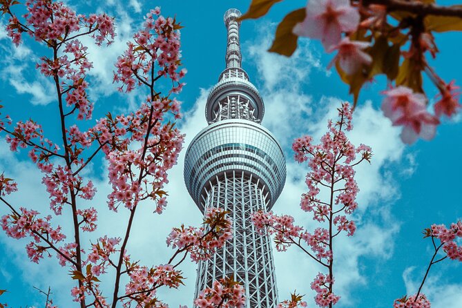 Tokyo Private Sightseeing Tour by Car- English speaking chauffeur - Ginza, Takeshita Street, and Omotesando: three faces of shopping Tokyo