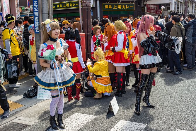 Tokyo Private Sightseeing Tour by Car- English speaking chauffeur - Shibuya Crossing: the city at full volume