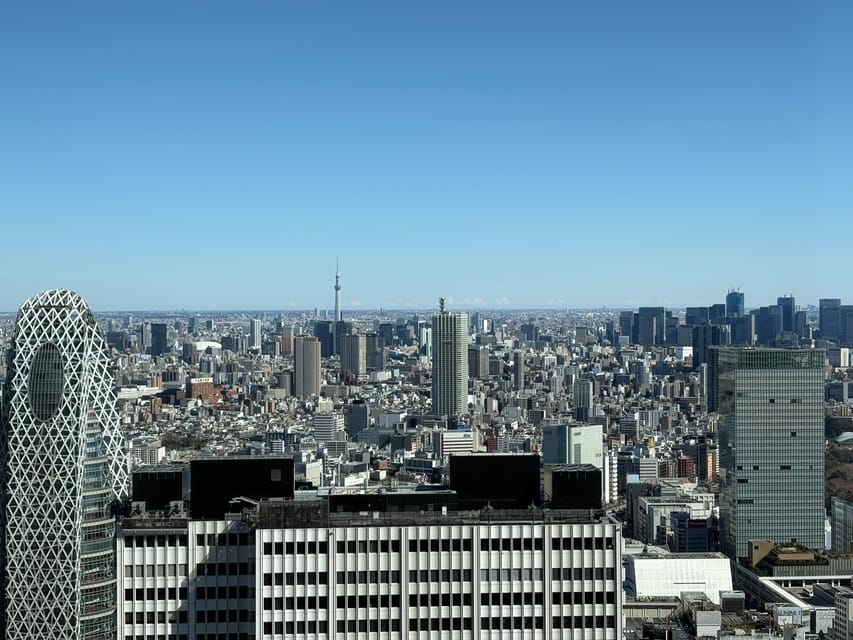 Tokyo: Private Sightseeing Tour by Car with Local Guide - Meiji Shrine, Harajuku, and a change of mood