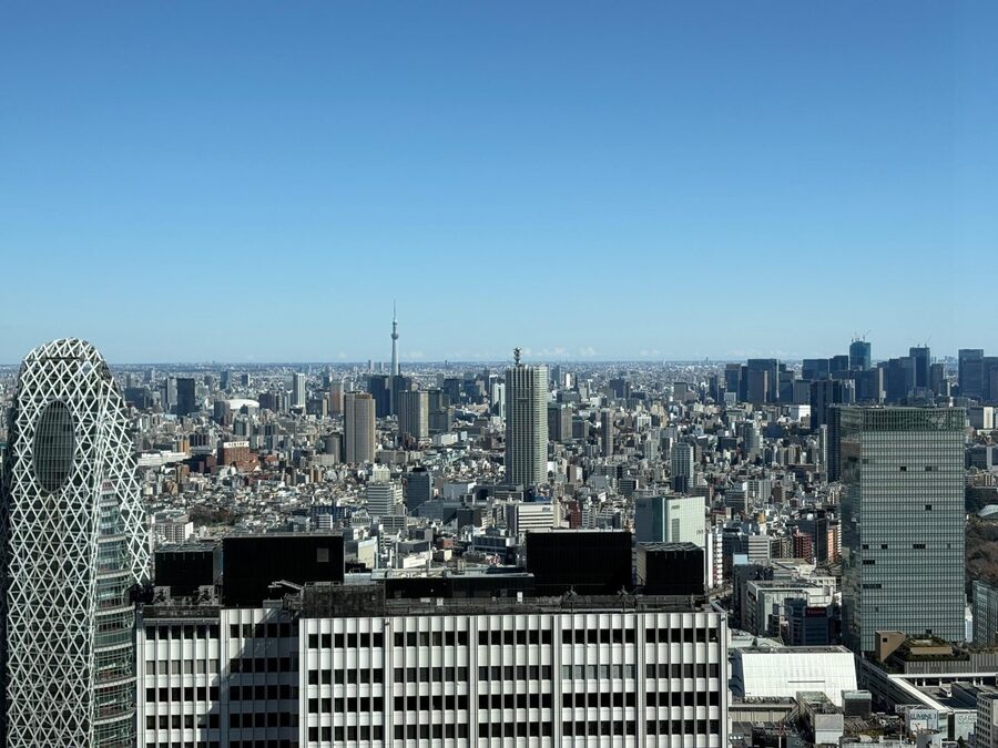 Tokyo: Private Sightseeing Tour by Car with Local Guide - Tokyo Tower to finish the day