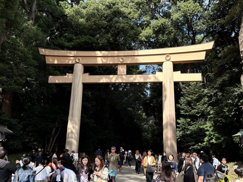Tokyo: Private Sightseeing Tour by Car with Local Guide - Starting in Tsukiji with seafood and street food