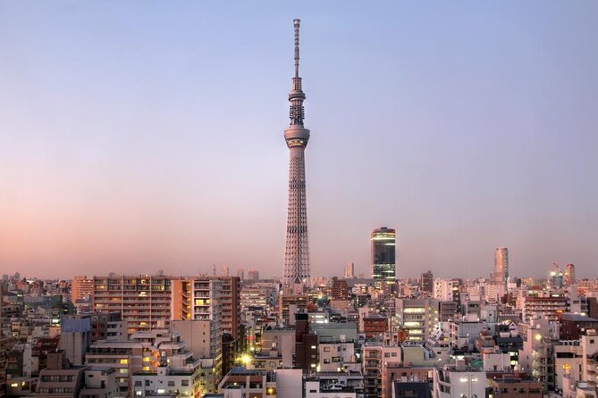 Tokyo Private Tour by Vehicle with English-Speaking Chauffeur - Key points to know before booking