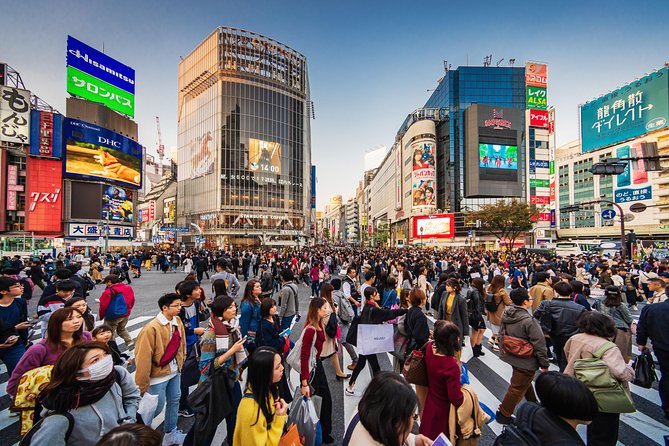 Tokyo Private Tour by Vehicle with English-Speaking Chauffeur - Tsukiji Outer Market: make lunch part of the sightseeing