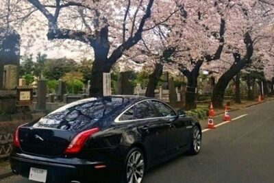 Tokyo Private Tour by Vehicle with English-Speaking Chauffeur
