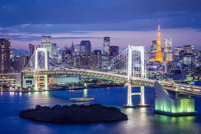 Tokyo Private Tour by Vehicle with English-Speaking Chauffeur - Meiji Jingu: forest paths in the middle of the city