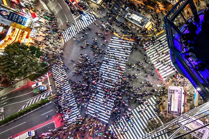 Tokyo Private Tour by Vehicle with English-Speaking Chauffeur - Shibuya Crossing: Tokyo at full speed