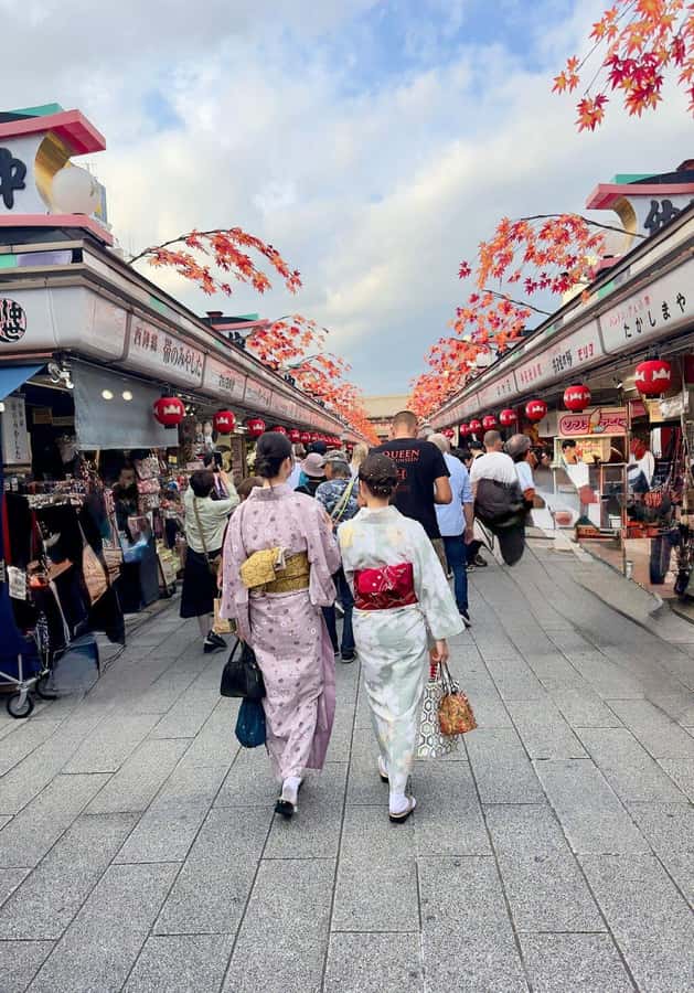 Tokyo Private Tour English Pro Guide By Luxury Vehicle - Mukarram’s Role as Guide and Driver