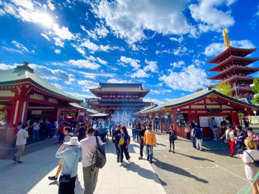 Tokyo Private Tour English Pro Guide By Luxury Vehicle - Meiji Shrine and a Quieter Pocket of the City
