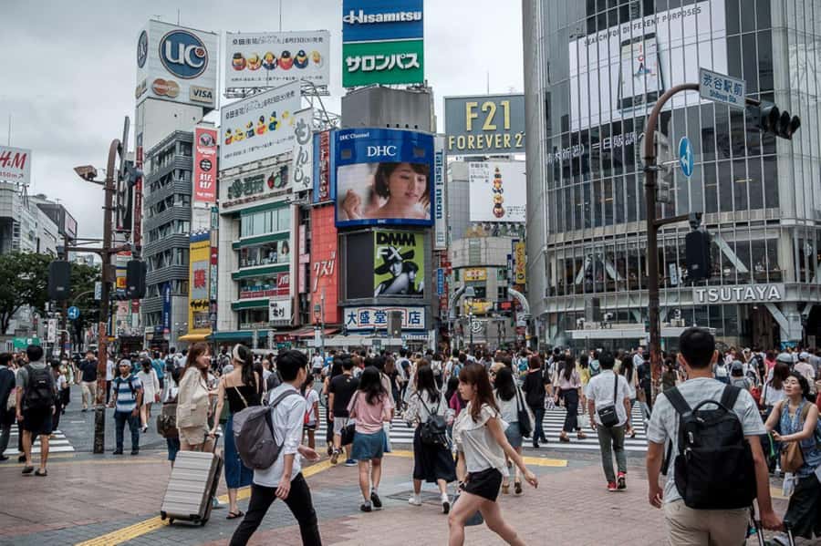 Tokyo Private Tour English Pro Guide By Luxury Vehicle - Ginza, Shinjuku, and Tokyo’s High-Rise Side