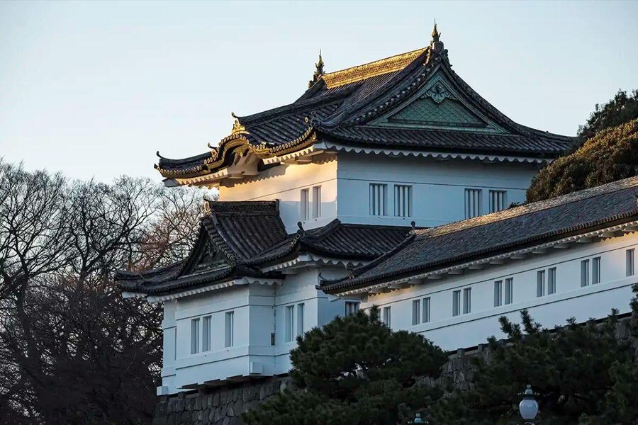 Tokyo Private Tour English Pro Guide By Luxury Vehicle - Tokyo Skytree and Sightseeing Add-Ons