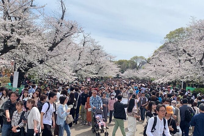 Tokyo Sightseeing/ City Tour by Private Car with English Guide - Tokyo Skytree and the extra ticket decision