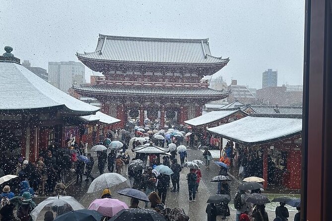 Tokyo Sightseeing/ City Tour by Private Car with English Guide - Imperial Palace, a look at Japan’s royal center