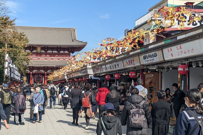 Tokyo VIP Guided Private Car Tour with Optional Airport Transfer - Why a private car makes sense in a huge city