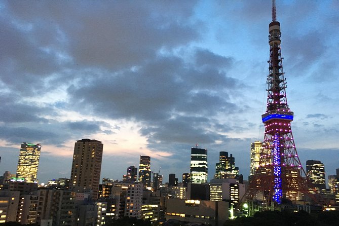 Tokyo VIP Guided Private Car Tour with Optional Airport Transfer - Tsukiji Outer Market and Tokyo’s food culture