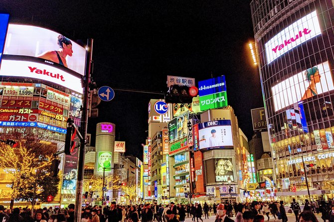 Tokyo VIP Guided Private Car Tour with Optional Airport Transfer - Planning your eight hours around four to six stops