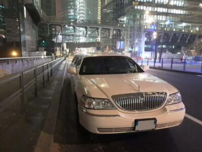 Tour of Paris by limousine by day or night.
