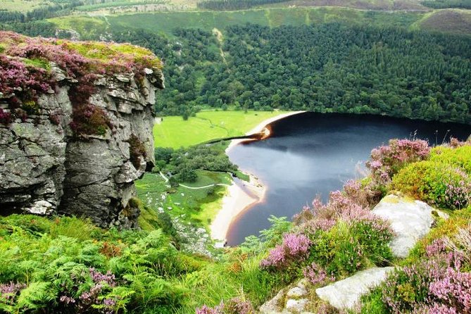 Tour Wicklow Mountains National Park in a limo with private guide - Driving through Wicklow Mountains National Park