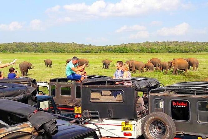 trip sri lanka (10 Days , 9 Nights) with driver, vehicle and H/B accommodations - Negombo gives you an easy first night
