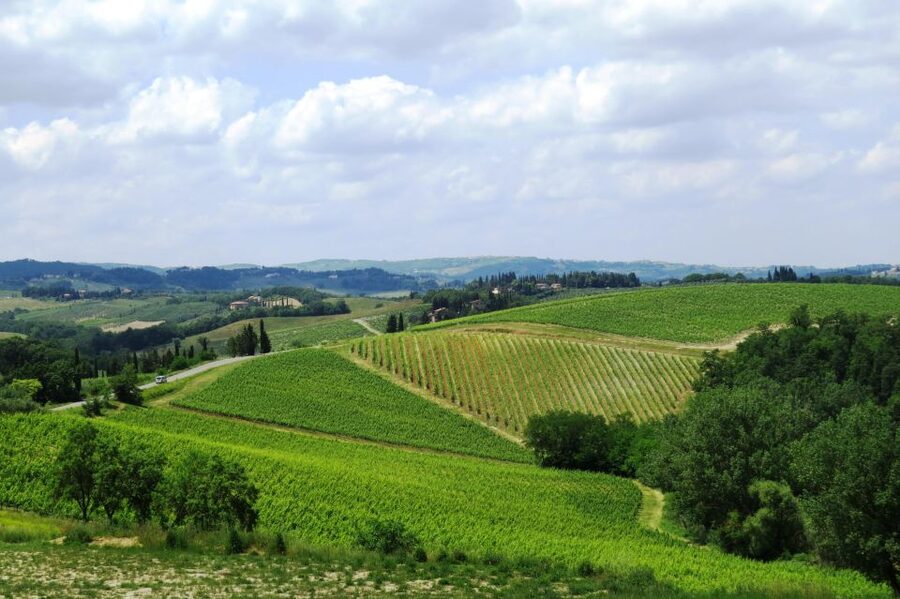 Tuscany: Full-Day Luxury Minivan Tour with Siena and Pisa - Key points at a glance