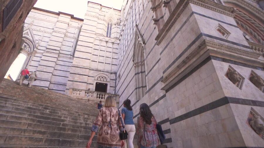 Tuscany: Full-Day Luxury Minivan Tour with Siena and Pisa - Who should book this Tuscany tour?