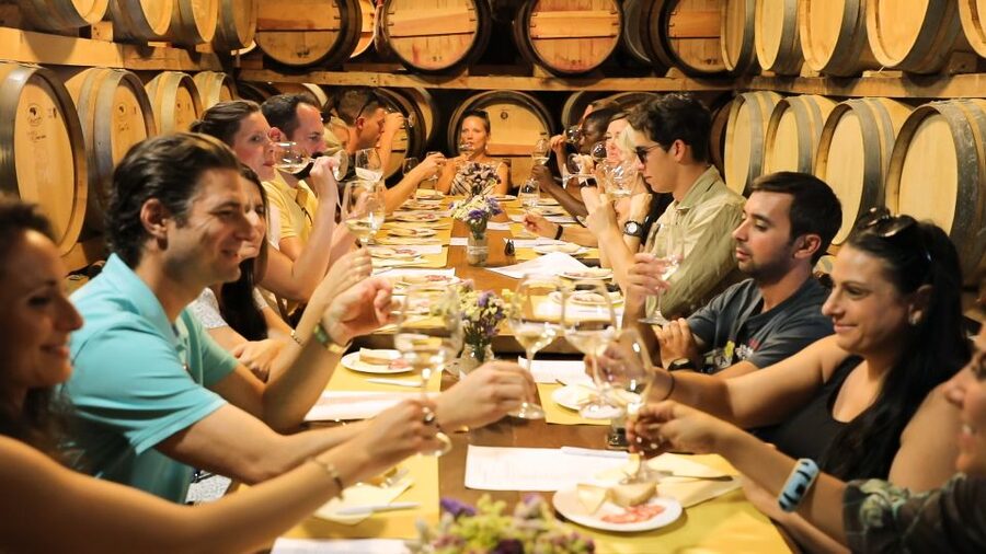 Tuscany: Full-Day Luxury Minivan Tour with Siena and Pisa - San Gimignano, towers and a country-estate lunch