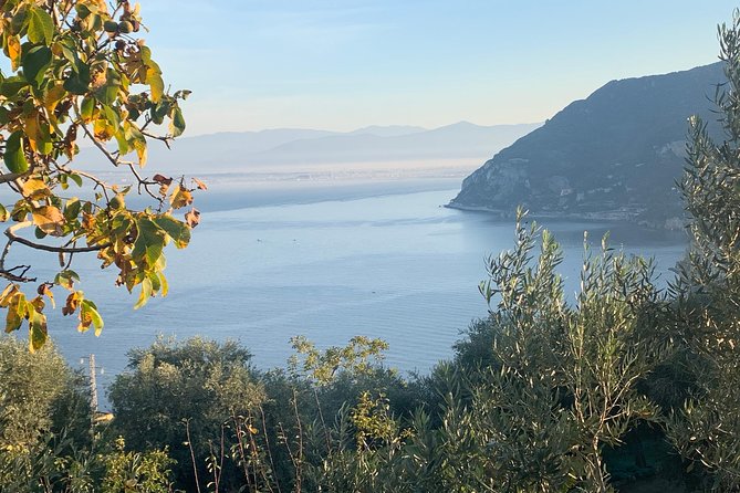 Unique Tour | Discovering Amalfi on a Minivan with driver - What Sergio adds to the day